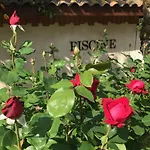 Logis Restaurant Le Castel Fleuri 2* Saint-Jean-en-Royans