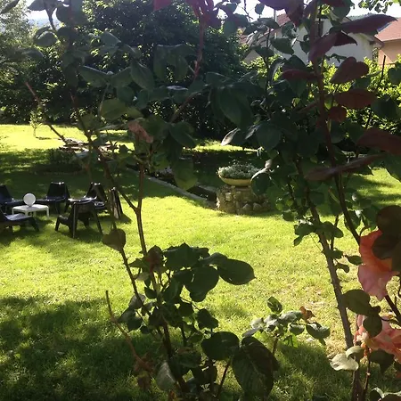 Hotel Logis Restaurant Le Castel Fleuri