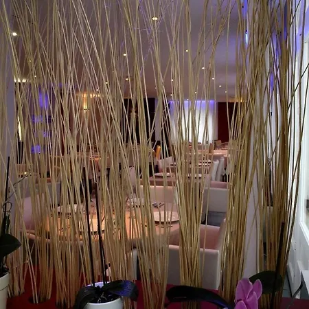 Hotel Le Castel Fleuri