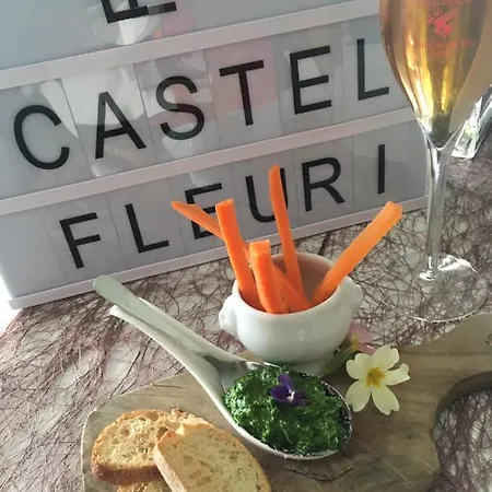 Le Castel Fleuri Hotel Saint-Jean-en-Royans